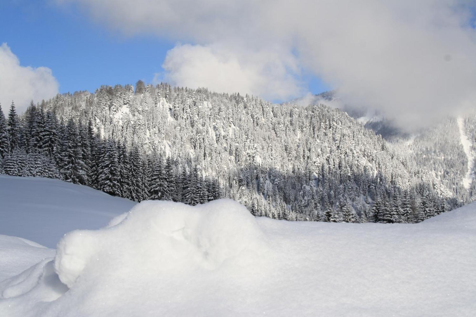 Alpengasthof Oberweissbach Waidring Exteriör bild